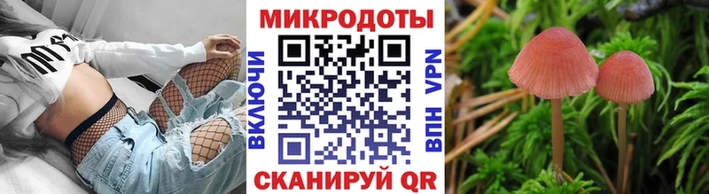 Псилоцибиновые грибы Psilocybine cubensis  Купить где  Среднеколымск 